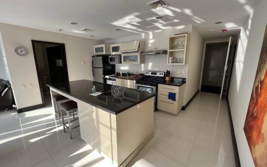 Departamento en Renta Amueblado en Monterrey Valle Oriente