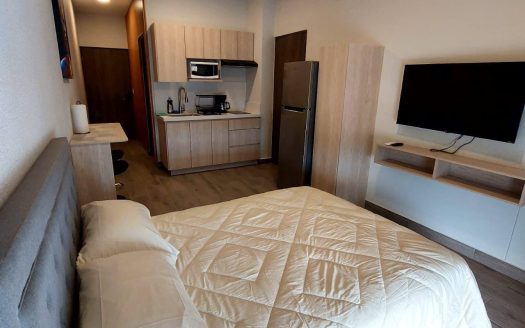 Departamentos tipo Loft en renta en Torre Colonia, Mty Centro