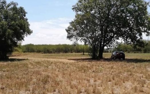Terreno en venta Allende ideal para quinta