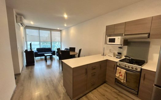 DEPARTAMENTO AMUEBLADO EN RENTA NUEVO SUR, ZONA TEC.