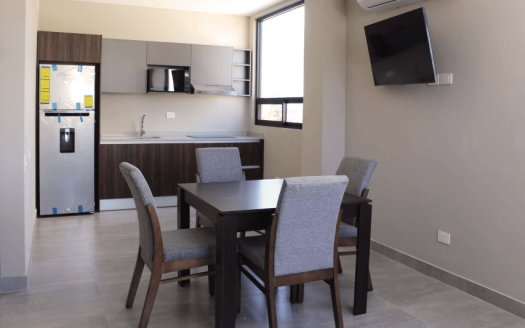 DEPARTAMENTO EN RENTA EN EL CENTRITO VALLE SAN PEDRO GARZA GARCIA