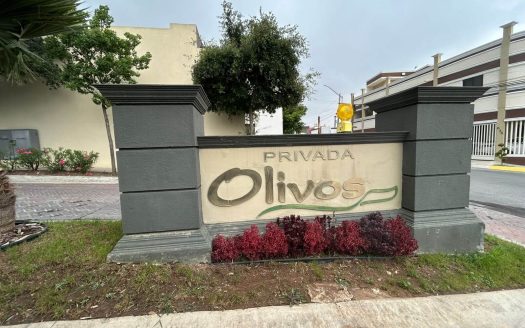CASA AMUEBLADA EN RENTA PRIVADA OLIVOS, SANTA CATARINA.